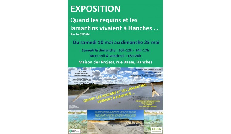 photo Quand les requins et les lamantins vivaient à Hanches
