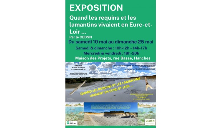 photo Quand les requins et les lamantins vivaient en Eure-et-Loir 