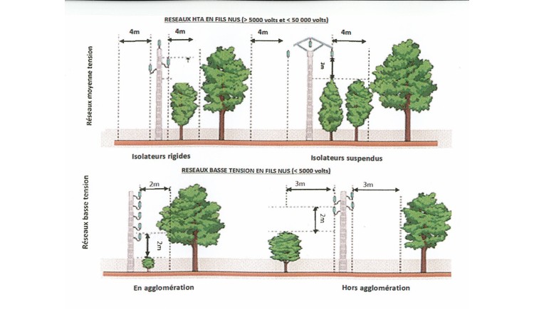 photo Travaux d'élagage sur la commune