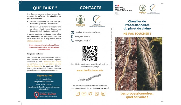 photo Chenilles processionnaires : prévention pour la santé