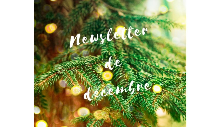 photo La newsletter du mois de Décembre de l'Office de Tourisme est disponible ....