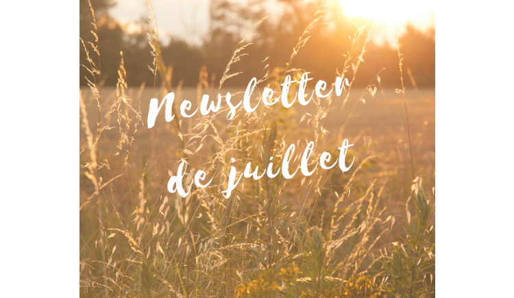 photo La newsletter de Juillet de l'Office de Tourisme des Portes Euréliennes est disponible ....