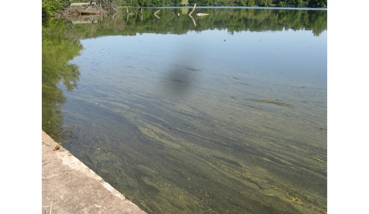 photo Message ARS : Suspicion d'une présence de cyanobactéries