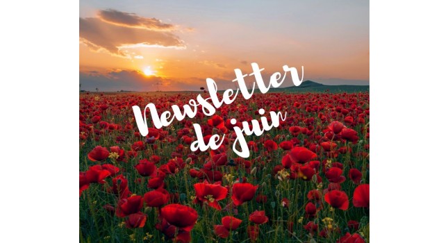 photo La newsletter de Juin de l'Office de Tourisme des Portes Euréliennes est disponible