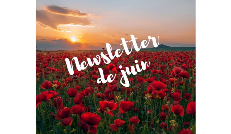 photo La newsletter de Juin de l'Office de Tourisme des Portes Euréliennes est disponible