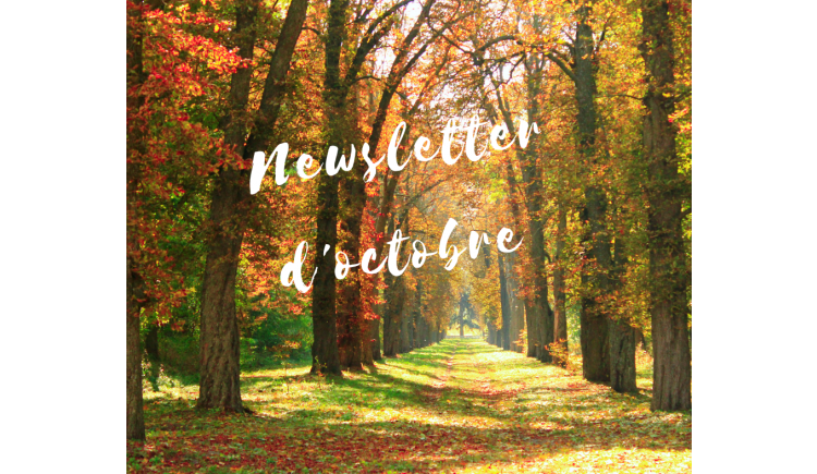 photo La newsletter d'octobre de l'office de Tourisme des Portes Euréliennes est disponible ....